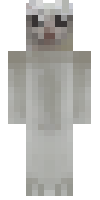 Скин по нику epic_cat