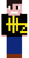 Скин по нику fantasygamer2000