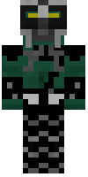 Скин по нику flash79