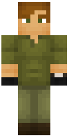 Скин по нику follout