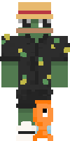Скин по нику frogpad