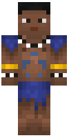 Скин по нику future_crafter
