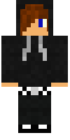 Скин по нику gamer1234
