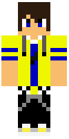 Скин по нику gamer19