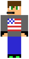 Скин по нику gamer_21