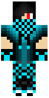 Скин по нику gamer_29