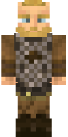 Скин по нику gilter