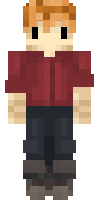 Скин по нику ginger_99_ninja
