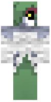 Скин по нику grudon29