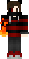 Скин по нику gunsgamer