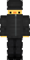 Скин по нику haamster