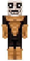 Скин по нику hans_ikk