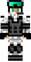 Скин по нику hectichopper
