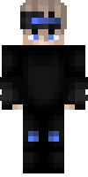 Скин по нику hibari