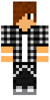 Скин по нику higamer