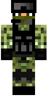 Скин по нику highscorepeter