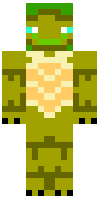 Скин по нику hippyturtle