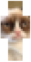 Скин по нику hkcat