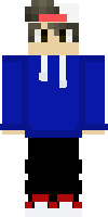 Скин по нику hobbesgamer