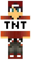Скин по нику invincible_tnt