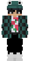 Скин по нику itzgerryd