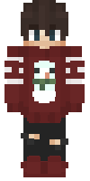Скин по нику justgamer
