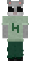 Скин по нику kakakawik