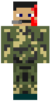 Скин по нику kastel