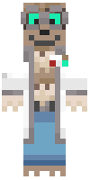 Скин по нику kotetsu