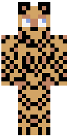Скин по нику leopardboy17
