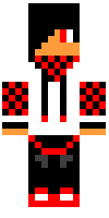 Скин по нику logicwar