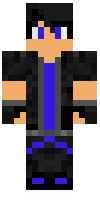 Скин по нику mapcgamer