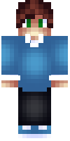 Скин по нику meytergames