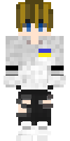 Скин по нику mileg123