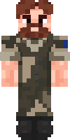 Скин по нику militaire