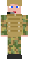 Скин по нику miltary