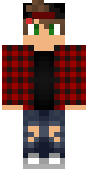 Скин по нику minecraft_meneer