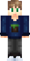 Скин по нику minecraftboy