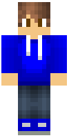 Скин по нику minecraftryan5