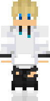 Скин по нику minermasterCZE