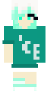 Скин по нику mintcraft
