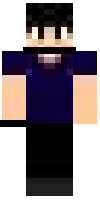 Скин по нику mirrorYT