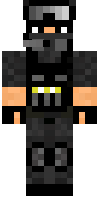 Скин по нику mr_creeper24