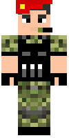 Скин по нику mr_kartoshka