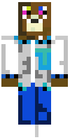 Скин по нику mr_villager