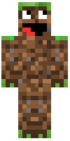 Скин по нику mrgenerousgreen