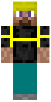 Скин по нику nickselchau
