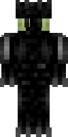 Скин по нику nightfury