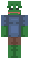 Скин по нику nilfgaard