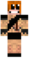 Скин по нику ninjahamster1